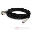 C-QINSCI-PDAC2M Image